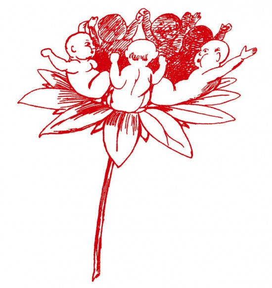 Fuera de colecci&oacute;n