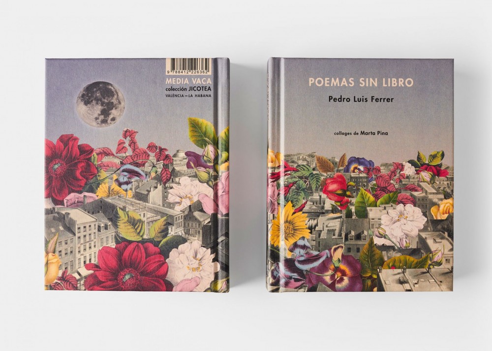 Poems With No Book